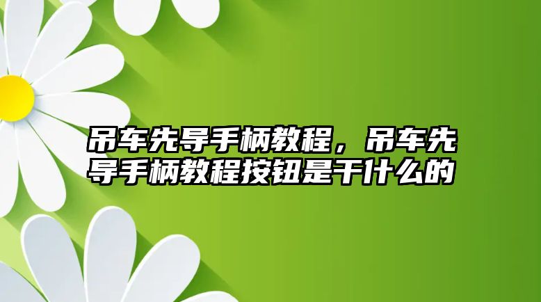 吊車先導(dǎo)手柄教程，吊車先導(dǎo)手柄教程按鈕是干什么的