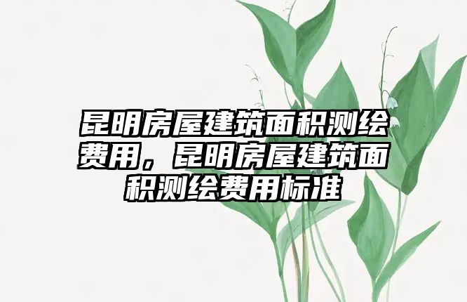 昆明房屋建筑面積測(cè)繪費(fèi)用，昆明房屋建筑面積測(cè)繪費(fèi)用標(biāo)準(zhǔn)