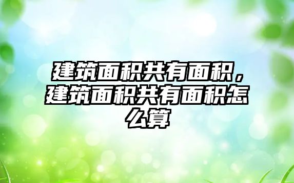建筑面積共有面積,建筑面積共有面積怎么算
