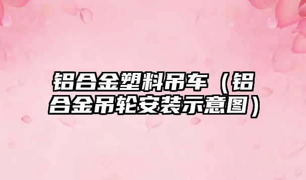鋁合金塑料吊車(chē)（鋁合金吊輪安裝示意圖）