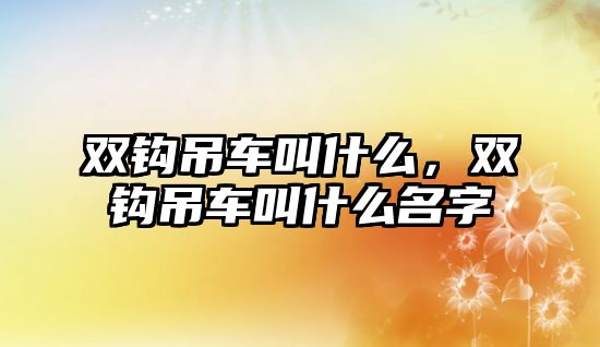 雙鉤吊車叫什么，雙鉤吊車叫什么名字
