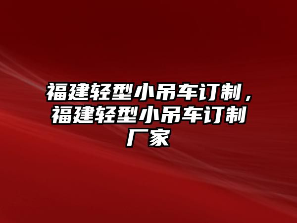 福建輕型小吊車訂制，福建輕型小吊車訂制廠家