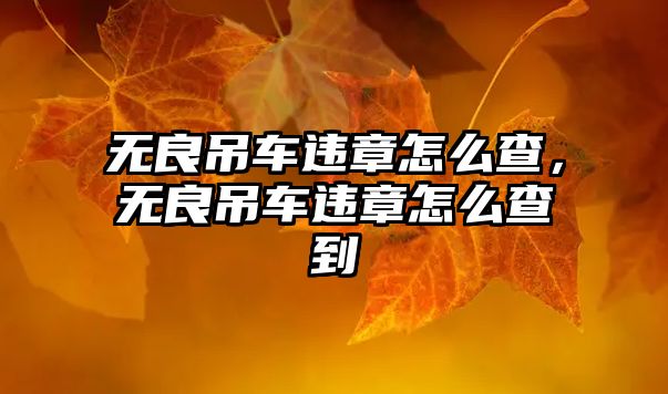 無良吊車違章怎么查，無良吊車違章怎么查到