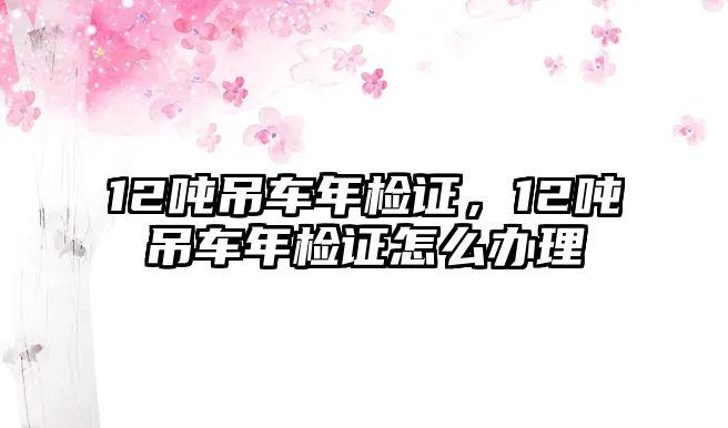 12噸吊車年檢證，12噸吊車年檢證怎么辦理